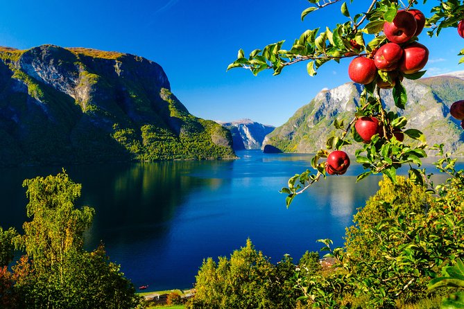 Private Guided Tour to Oslo - Nærøyfjord Cruise and Flåm Railway - Booking and Cancellation Policy