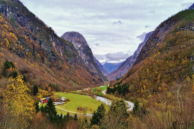 PRIVATE GUIDED Tour: World Heritage Fjord Landscape – Viking Special – From Flåm - Viking History Experience