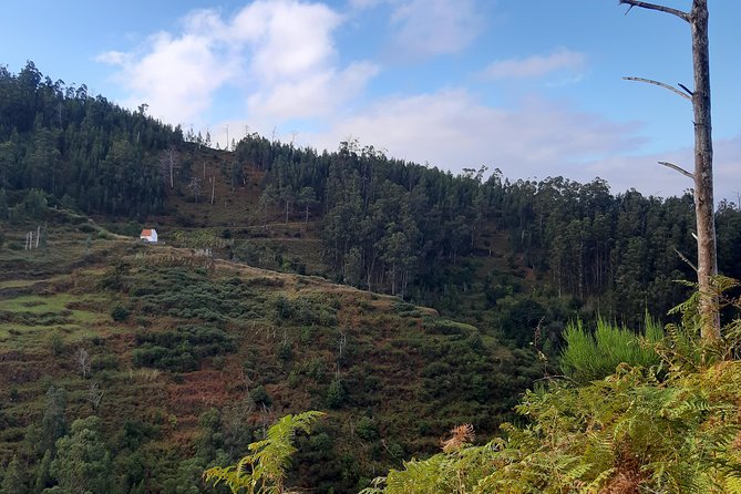 Private Guided Walk Levada Ponta Do Pargo - Feedback and Ratings