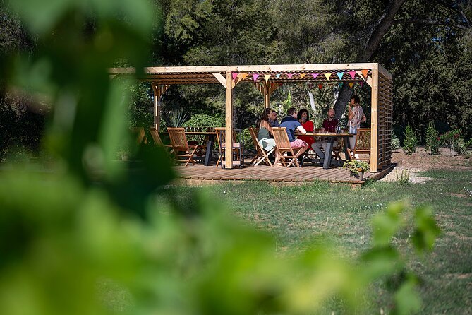 Private Half-Day Languedoc Wine Tour Review - Included Features
