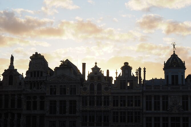 Private Half Day Tour of Brussels - Insights From Knowledgeable Guides