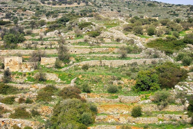 Private Hiking Tour of Lefkes Byzantine Path Ancient Greek Route - The Sum Up