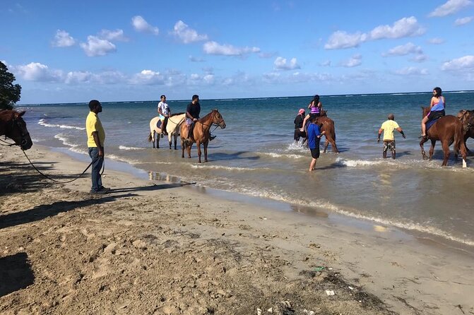 Private Horseback Riding in the Ocean & Blue Hole From Ochi Rios - Booking Flexibility and Cancellation Policy