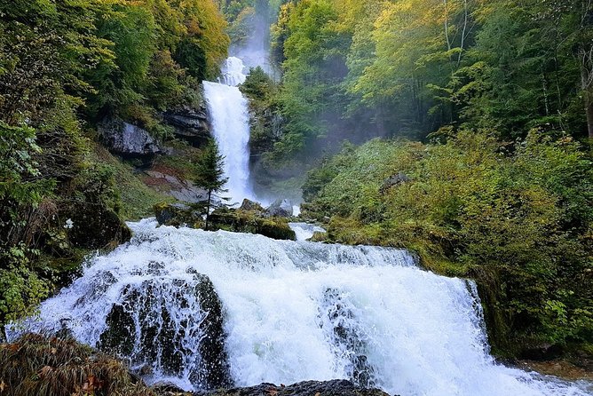 Private Interlaken and Jungfrau Region Tour From Lucerne or Berne - Accessibility Options