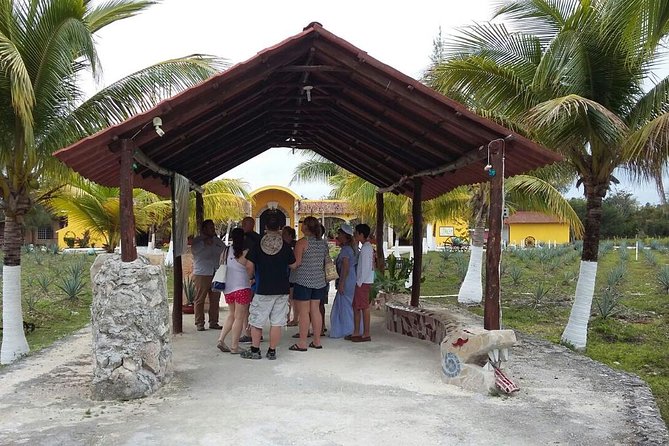 Private Jeep Excursion in Cozumel With Lunch and Snorkeling - Customizing Your Jeep Adventure