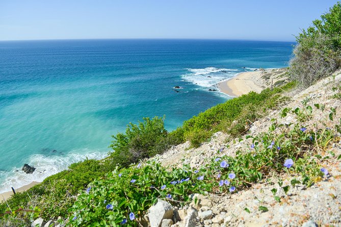Private Jeep Tour Cabo Pulmo - Exploring Cabo Pulmo National Park