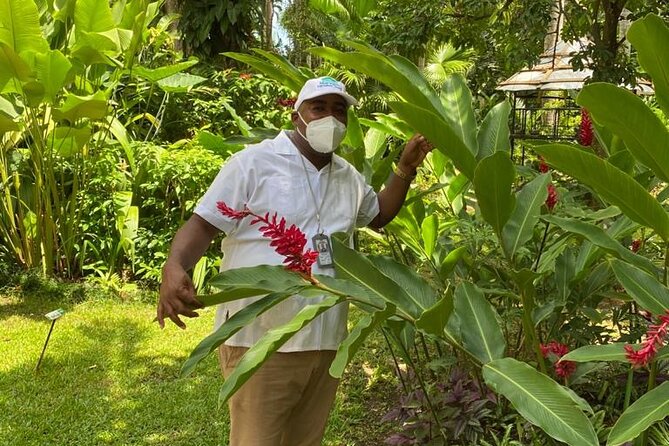 Private Konoko Falls and Dunns River Combo Tour From Ocho Rios - Trip Highlights