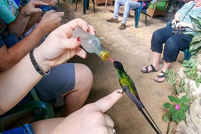 Private Lethe River Rafting and Bird Sanctuary Tour in Negril - Frequently Asked Questions