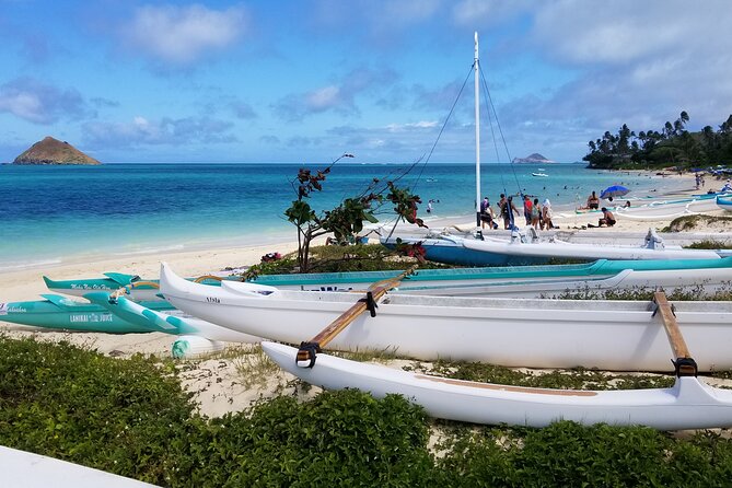 Private Luxury 5hr Dole,Northshore,Waikiki Group Priced Tour - Accessibility Considerations