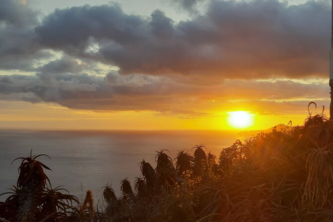 Private Madeira Sunset Cristo Rei Tour - Reviews and Ratings