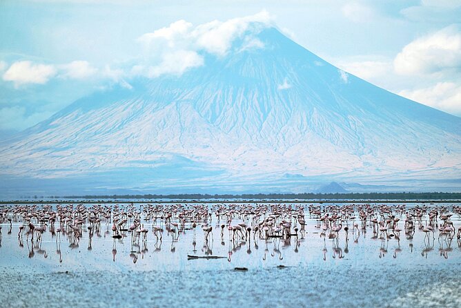 Private Multi Day Safari Tour in Tanzania - Tips for a Successful Trip