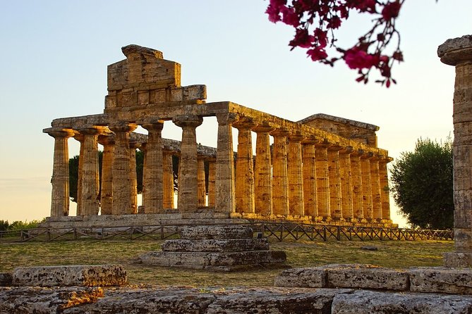 Private Paestum and Mozzarella Farm Tour - Accessibility and Fitness