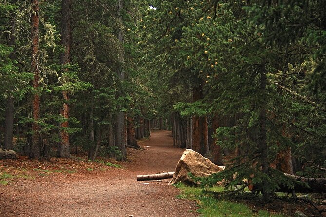 Private Rocky Mountain Escape From Denver - Customer Reviews and Feedback
