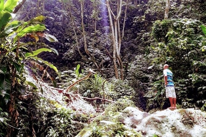 Private "Sail & Hike" Tour of Grenada - Guest Reviews