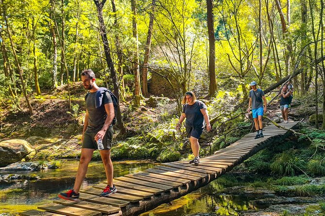 Private Secret Waterfall Hiking With Dinner - Since You Asked