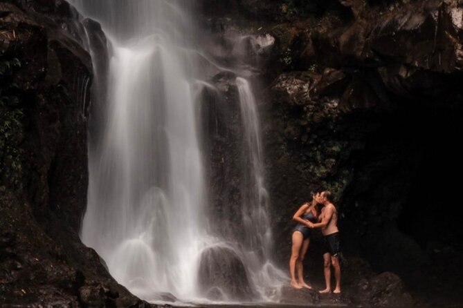 Private Shore Excursion: The Best of Maui - Booking Your Excursion