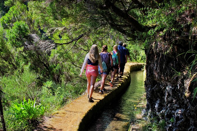 Private Small Group Full Day 4x4 Tour in Northwest Madeira - Unique Experiences and Activities