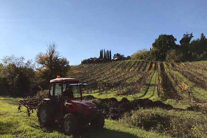Private Super Tuscan & Extra Virgin Olive Oil Tasting - Highlights