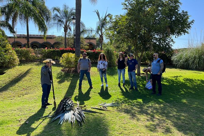 Private Tequila Tour With Local Expert - Distillery Visits