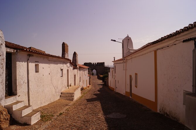 Private Time Traveller Full Day Tour From Évora by Archaeologists - Frequently Asked Questions