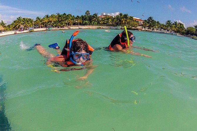 Private Tour: Akumal Marine Turtle Snorkeling and Cenote Adventure - Frequently Asked Questions