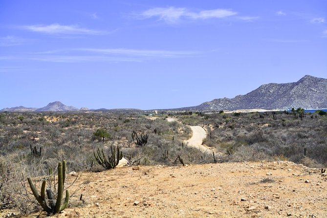 Private Tour Baja Jeep 4x4 Adventure at Los Cabos - Tour Safety and Precautions