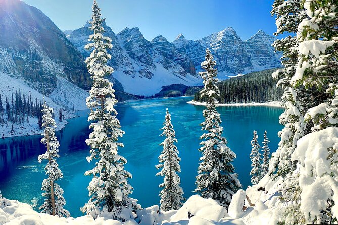 Private Tour for up to 24 Guests of Lake Louise and the Icefield Parkway - Wildlife and Scenery Opportunities