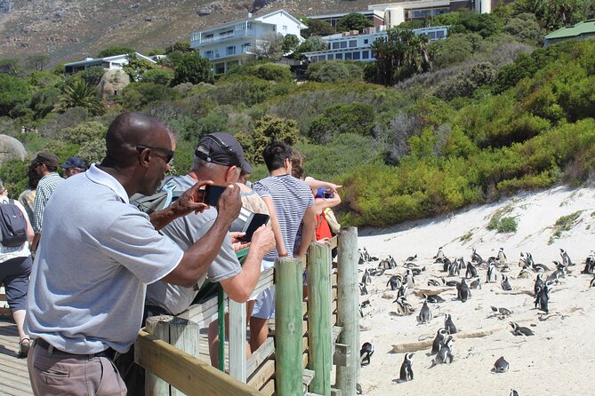 Private Tour From Cape Town to Cape of Good Hope Penguins Plus Wine Tasting F/D - Cancellation Policy