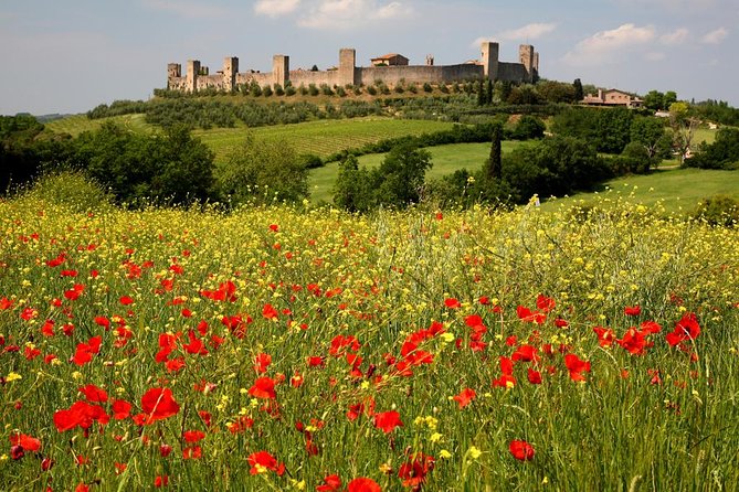 Private Tour: Guided Hike in Tuscany With Transport From Siena - Hiking the Via Francigena