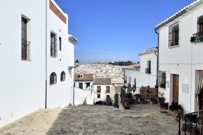 Private Tour in Antequera From Costa Del Sol - The Sum Up