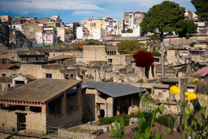 Private Tour in Herculaneum for Families From Naples - Sum Up