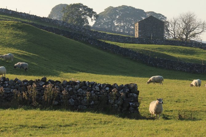 Private Tour: Lake District From York in 16 Seater Minibus - Sum Up