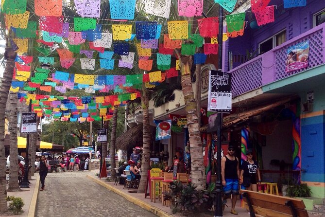 Private Tour, Sayulita & San Pancho - Customer Feedback