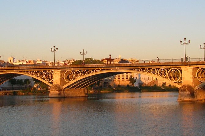 Private Tour: Seville Day Trip From Madrid by High-Speed Train With Tickets - Accessibility and Transportation