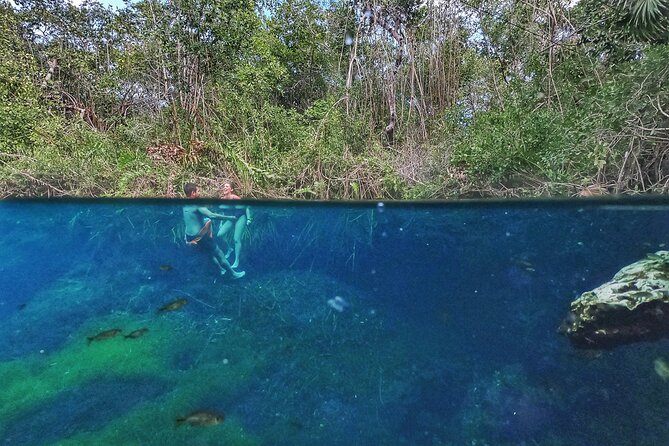 Private Tour The Best Cenotes in Tulum Riviera Maya - Tulum Cenote Exploration