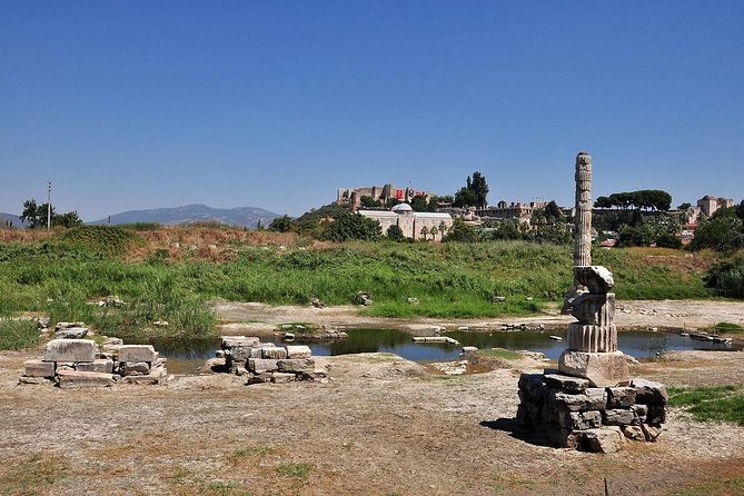 Private Tour to Ephesus, Selcuk Museum, House of Virgin Mary, Temple of Artemis - Customer Reviews