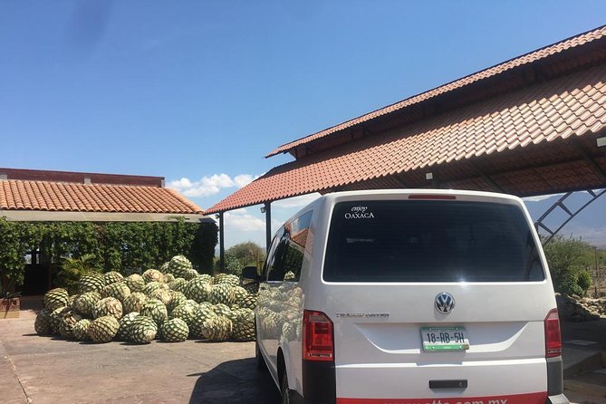 Private Tour to Hierve El Agua, Mezcal Tasting, and Textiles - Discovering Textile Traditions