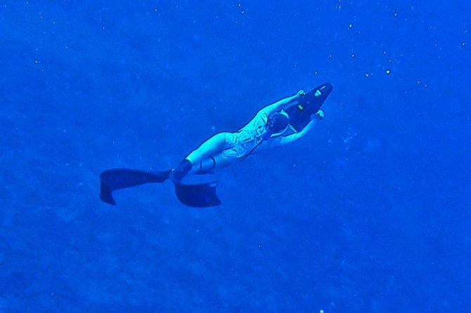 Private Tours Beach Entry - Sea Scooters Guided With Videos - Frequently Asked Questions