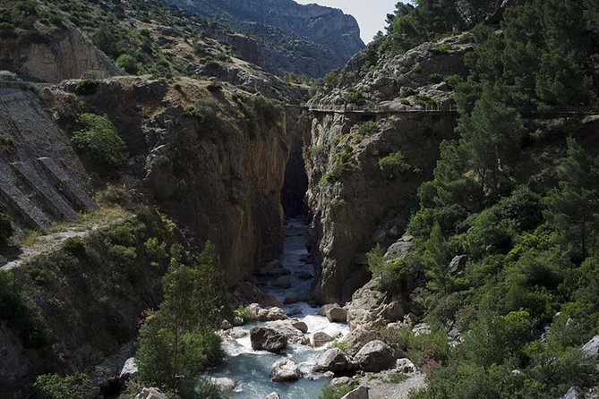 Private Tours From Malaga to the Caminito Del Rey for up to 8 Persons - Customer Reviews and Feedback