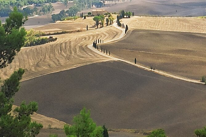 PRIVATE Transfer: From Assisi to Florence With Stops in Cortona & Montepulciano - Highlights of the Tour