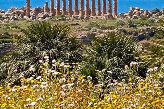 Private Transfer Palermo Airport To/From Verdura Resort, Sciacca - Pricing Information