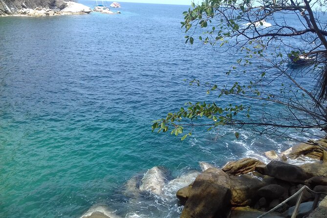 Private Trip: Snorkeling at Los Arcos & Colomitos Beach - Encountering Marine Life