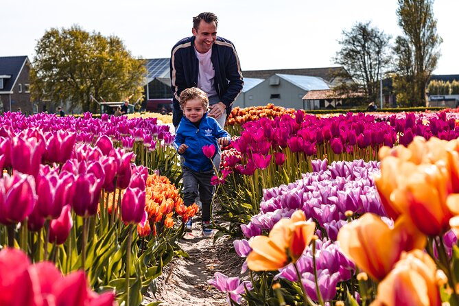 Private Tulip Fields, Windmills and Cheese Tour From Amsterdam - Highlights of the Tour
