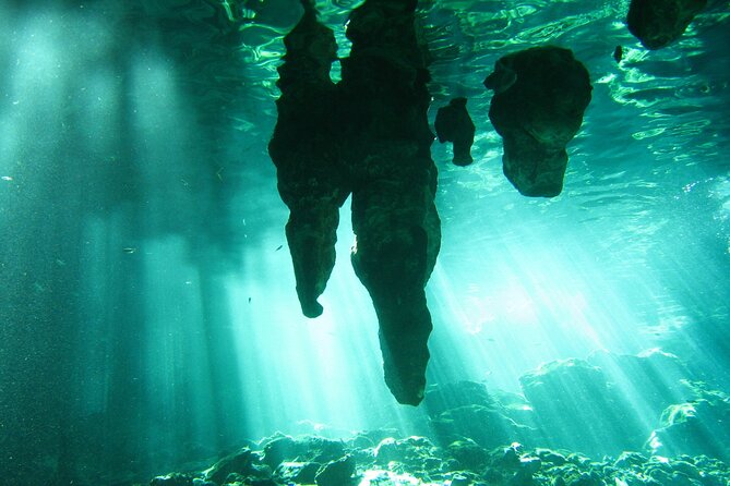 Private Underground River Tour With Snorkeling - Traveler Recommendation and Excellence