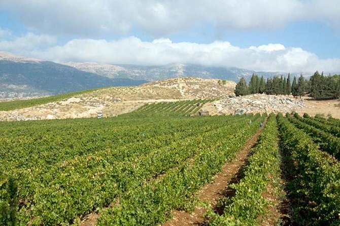 PRIVATE Wine Tasting Tour to the Bekaa Valey Fabulous Wineries - Frequently Asked Questions