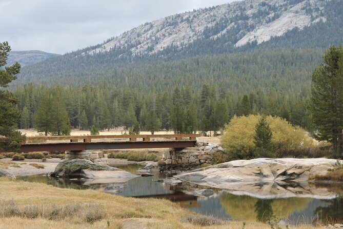 Private Yosemite National Park Day Trip From San Francisco - Recommendations for Travelers