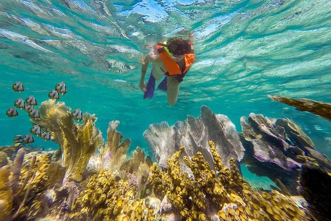 Puerto Morelos Reef Snorkeling Tour With Pickup - Making the Most of Your Tour