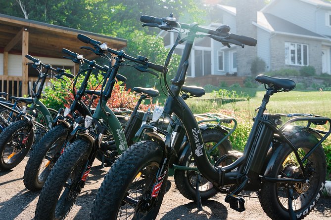 Quebec City - Electric Bike Rental on Ile D'Orléans - Safety Considerations for Riders