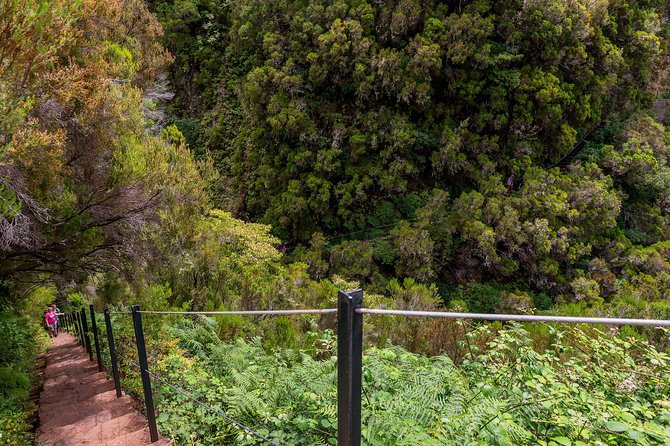 Rabaçal - Levada of the 25 Sources - Exploring the Levada Trail