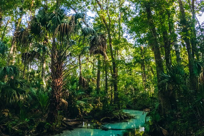 Rainbow Springs: Clear Kayak & Snorkel Eco Tour - Pricing and Cancellation Policy